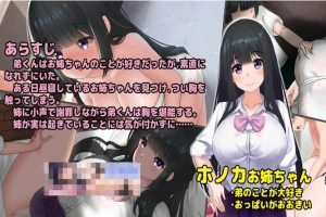 【互动触摸SLG/生肉/全动态】希望被弟袭击的姐姐 LIVE2D V1.04 步兵完全版【1.3G/CV/更新】-IS