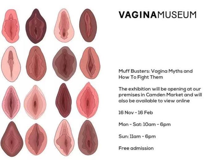 图片[2]-网友收集了性感撩人的白皙嫩妹的各种粉嫩户型，感觉“英国阴道博物馆”都没有收录过-IS