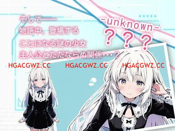 13102521233 13102521233