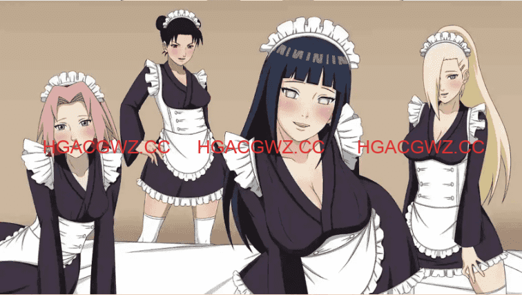 08135311200 08135311200