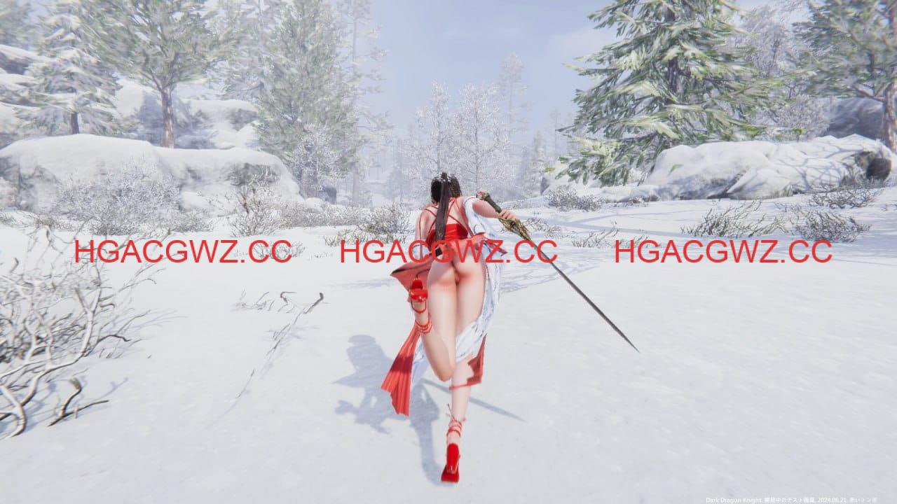 【ACT/中文/動态】冰霜之姬v1.8.0 官方中文版[更新]【電腦/12.7G】Snow x Hime v1.8.0