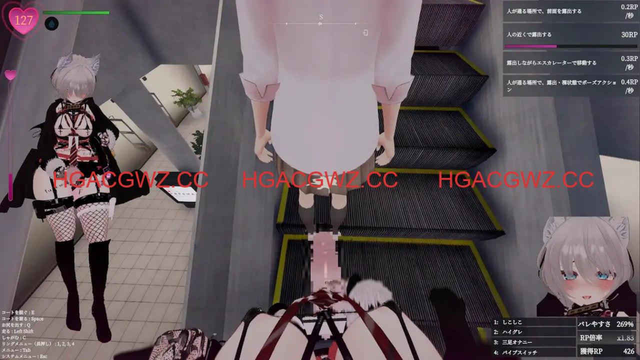 12044806647 12044806647