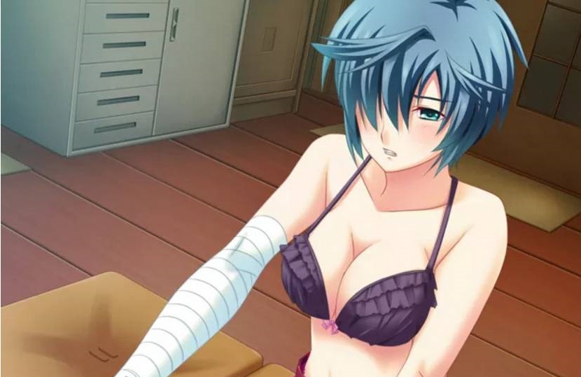 【日系ADV/安卓】花鸟风月-坠入爱河的花园之姬[百度/微云]