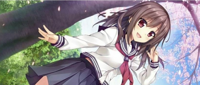 【日系ADV/安卓】生命的备件[百度微云]