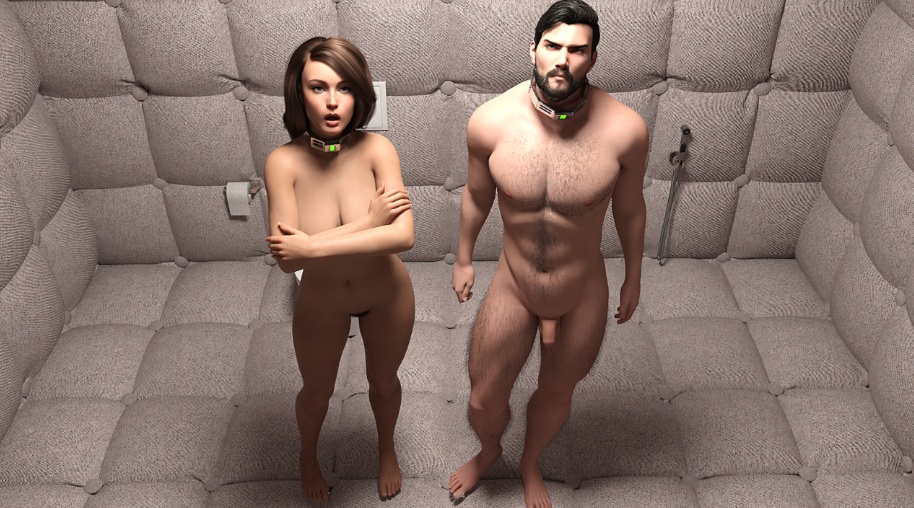 【欧美SLG/汉化/动态】白色立方体0.4汉化版【PC+安卓/1G/更新】