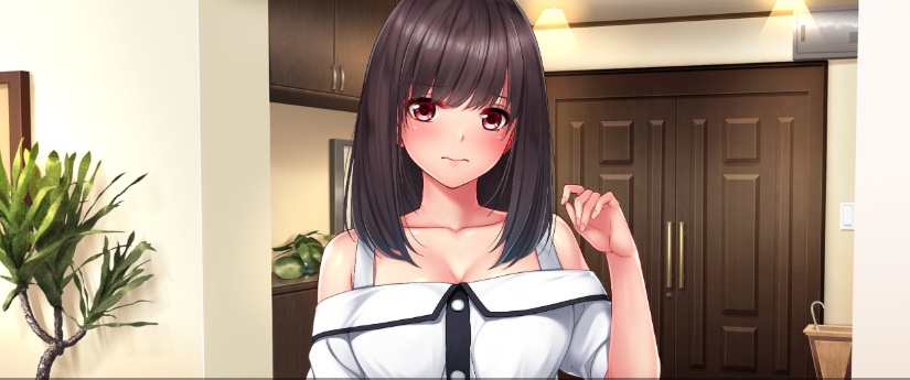 [ADV/汉化/有动画] 邻家女孩是海归荡妇隣のあの娘は帰国痴女云翻汉化版[百度][2G]』